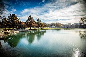 Colden-Pond-fall2017-ch-253.jpg